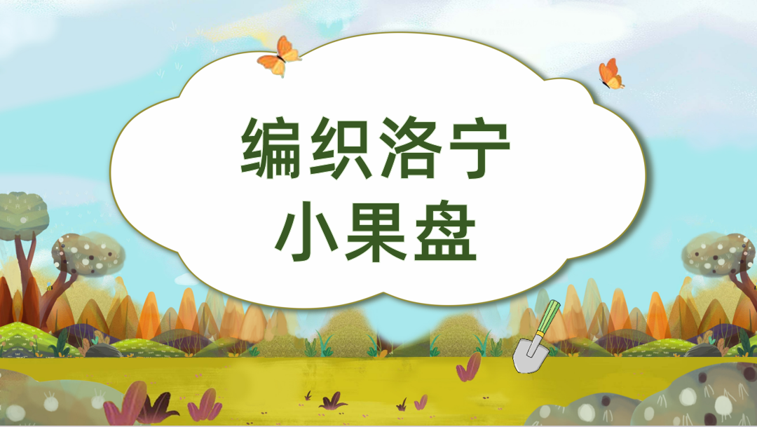 编织洛宁小果盘
